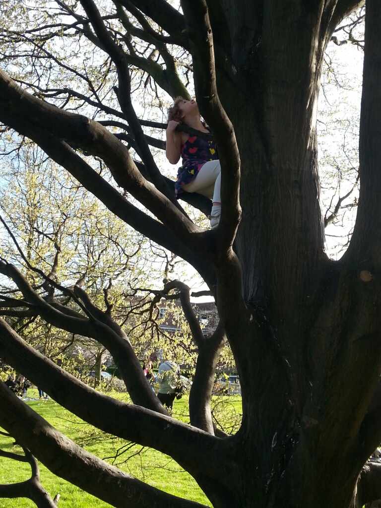 L enjoying her favourite pastime - tree climbing.